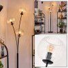 Koyoto Luminarias esféricas, Lámpara de pie Transparente, 3 luces