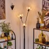 Koyoto Luminarias esféricas, Lámpara de pie Transparente, 3 luces