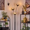 Koyoto Luminarias esféricas, Lámpara de pie Transparente, Ahumado, 3 luces