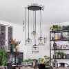 Koyoto Lámparas suspendidas, Luminarias esféricas, Lámpara colgante de clúster 35 cm Transparente, Ahumado, 4 luces