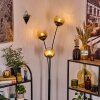 Koyoto Luminarias esféricas, Lámpara de pie dorado, Transparente, 3 luces