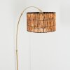 Cando Lámpara de pie Latón, Negro, 1 luz