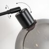 Koyoto Lámpara de pie, Lámparas de pie tipo arco Negro, 1 luz