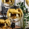 Gastor Lámparas suspendidas, Luminarias esféricas, Lámparas colgantes dorado, Transparente, 6 luces