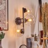 Gastor Luminarias esféricas, Apliques Transparente, 3 luces