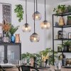 Koyoto Lámparas suspendidas, Luminarias esféricas, Lámpara colgante de clúster Colores ámbar, Transparente, Ahumado, 4 luces