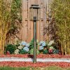 Tieva Iluminación de caminos dorado, Negro, 1 luz