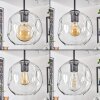 Ripoll Lámparas suspendidas, Luminarias esféricas, Lámpara colgante de clúster Transparente, 4 luces