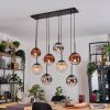 Gastor Lámparas suspendidas, Luminarias esféricas, Lámparas colgantes Colores ámbar, Cromo, Transparente, Color cobre, Ahumado, 8 luces