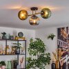 Koyoto Plafones, Luminarias esféricas dorado, Negro, 3 luces