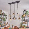Koyoto Lámparas suspendidas, Luminarias esféricas, Lámparas colgantes Colores ámbar, Transparente, Ahumado, 6 luces