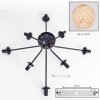 Basto Plafones Crudo, 8 luces