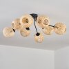 Basto Plafones Crudo, 8 luces