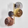 Ripoll Luminarias esféricas, Apliques dorado, Negro, 3 luces