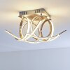 Felin Lámpara de Techo LED Níquel-mate, 1 luz
