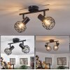 Palmira Lámpara de Techo Negro, 2 luces