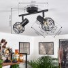 Palmira Lámpara de Techo Negro, 2 luces