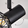 Palmira Lámpara de Techo Negro, 2 luces