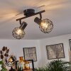 Palmira Lámpara de Techo Negro, 2 luces