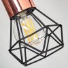Baripada Lámpara de Techo Negro, 6 luces