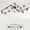 Baripada Lámpara de Techo Negro, 6 luces