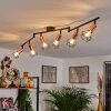 Baripada Lámpara de Techo Negro, 6 luces