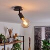Cacoq Lámpara de Techo Negro, 1 luz
