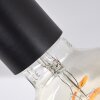 Cacoq Lámpara de Techo Negro, 1 luz