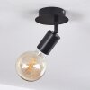 Cacoq Lámpara de Techo Negro, 1 luz