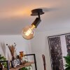 Cacoq Lámpara de Techo Negro, 1 luz