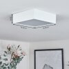 Netstal Lámpara de Techo LED Blanca, 1 luz