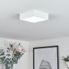 Netstal Lámpara de Techo LED Blanca, 1 luz