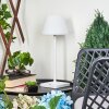 Mayordomo Lámpara de mesa LED Blanca, 1 luz
