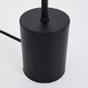 Gnarp Lámpara de mesa dorado, Negro, 1 luz