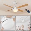 Hausvik Ventilador de techo Marrón, Blanca, 1 luz, Mando a distancia