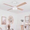 Hausvik Ventilador de techo Marrón, Blanca, 1 luz, Mando a distancia