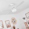 Hausvik Ventilador de techo Marrón, Blanca, 1 luz, Mando a distancia
