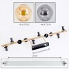 Gastor Plafones, Luminarias esféricas dorado, Negro, 10 luces
