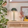Laken Lámpara de mesa de exterior, Lámpara de baño, Lámparas de mesa LED Verde, 1 luz