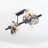 Koyoto Plafones, Luminarias esféricas Colores ámbar, Transparente, Ahumado, 8 luces