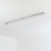 Ilena Plafon de exterior, Iluminación exterior, Lámpara de baño, Focos de obra, Plafones LED Gris, 1 luz