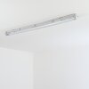 Ilena Plafon de exterior, Iluminación exterior, Lámpara de baño, Focos de obra, Plafones LED Gris, 1 luz