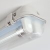 Ilena Iluminación exterior, Lámpara de baño, Plafones LED Gris, 1 luz