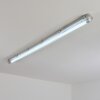Ilena Iluminación exterior, Lámpara de baño, Plafones LED Gris, 1 luz