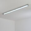 Ilena Plafon de exterior, Iluminación exterior, Lámpara de baño, Focos de obra, Plafones LED Gris, 1 luz