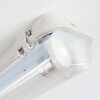 Ilena Plafon de exterior, Iluminación exterior, Lámpara de baño, Focos de obra, Plafones LED Gris, 1 luz