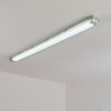 Ilena Plafon de exterior, Iluminación exterior, Lámpara de baño, Focos de obra, Plafones LED Gris, 1 luz