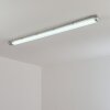 Ilena Plafon de exterior, Iluminación exterior, Lámpara de baño, Focos de obra, Plafones LED Gris, 1 luz