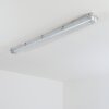 Ilena Iluminación exterior, Lámpara de baño, Plafones LED Gris, 1 luz