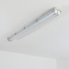 Ilena Plafon de exterior, Iluminación exterior, Lámpara de baño, Focos de obra, Plafones LED Gris, 1 luz